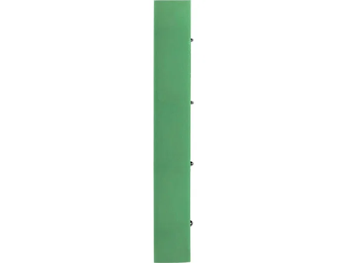 Liderpapel Carpeta con recambio A4 verde manzana con 100 hojas cuadrículas Liderpapel Carpeta con recambio A4 verde manzana con 100 hojas cuadrículas