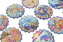 DKD Home Decor Posavasos de Dolomita Marino Surtido de 12 Unidades