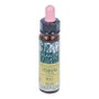 PLANTIS VERVAIN PLANTIS flores de bach Nº 31 10ml