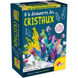 Liscianigiochi - Kit de ciencia Descubrimiento de Cristales de Bolsillo, Cristalización y Experimentos para Mayores de 8 Años - AAANS17024