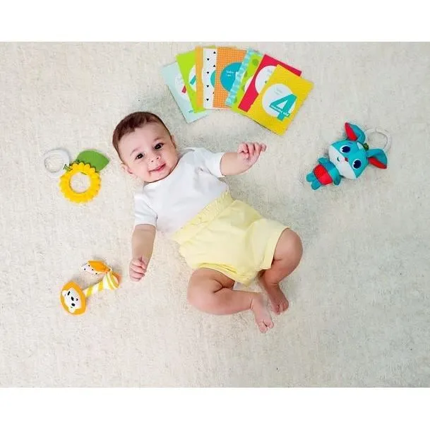 Tiny Love Gift Set: un juguete, tarjetas de 12 pasos, ráfaga, táctil táctil, 4 clips para fijación, en Prayerry