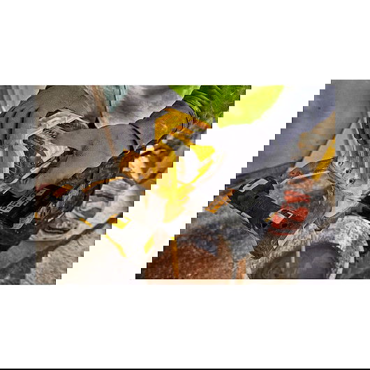 DEWALT Flexvolt Ersatz-Akku 54 bzw. 18 Volt/max. 12.0 Ah Batería Ión de litio 12 Ah 54V