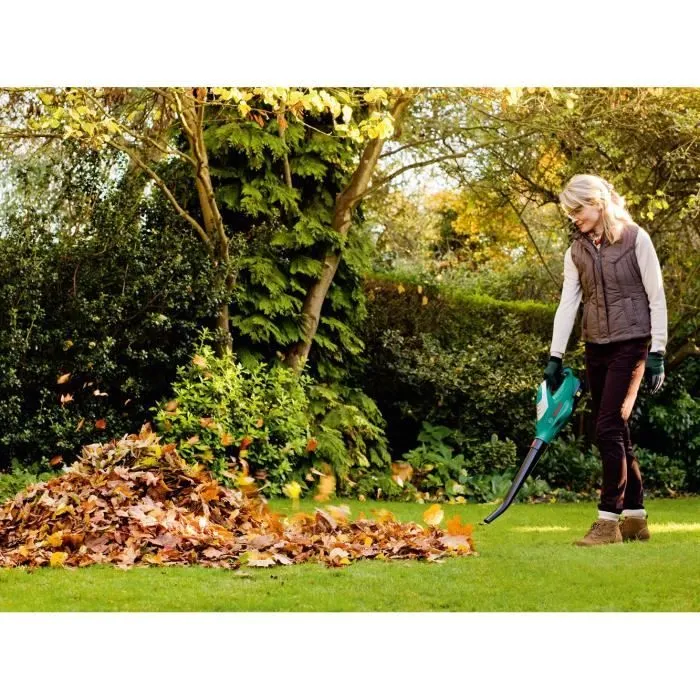 Bosch Soplador Inalámbrico ALB 18 LI Batería Iones Litio 18 V 2.5 Ah Verde