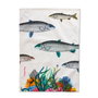 Paño de Cocina HappyFriday Fish Multicolor 70 x 50 cm (2 Unidades)