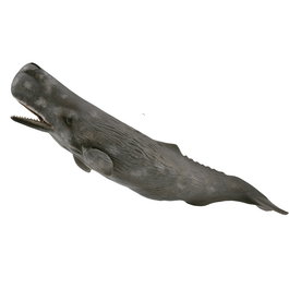 Collecta Cachalote XL 88835 Figura de Animal Marino Realista para Niños +3 Años