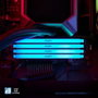 Kingston FURY Beast RGB 16 GB DDR4 3200 MHz CL16 DIMM