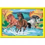 Ravensburger Kit para Pintar por Números Manada de Caballos 25846 31 x 21 cm para Niños a partir de 9 Años