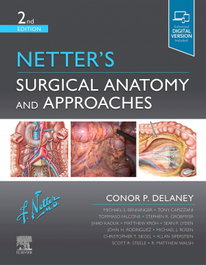 ELSEVIER UK Surgical Anatomy and Approaches (2nd Edition)