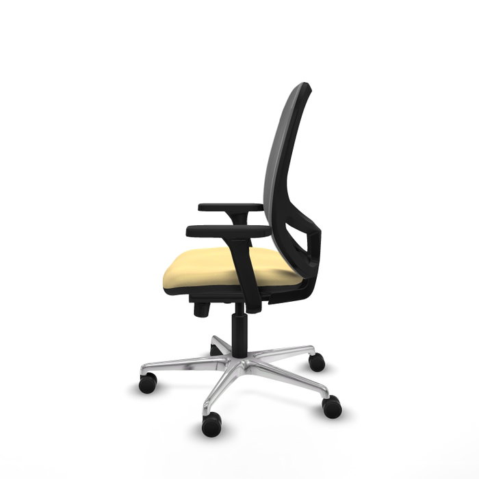 PIQUERAS Y CRESPO Silla de oficina Cilanco con mecanismo Sincro, Crema y Gris PIQUERAS Y CRESPO Silla de oficina Cilanco con mecanismo Sincro, Crema y Gris