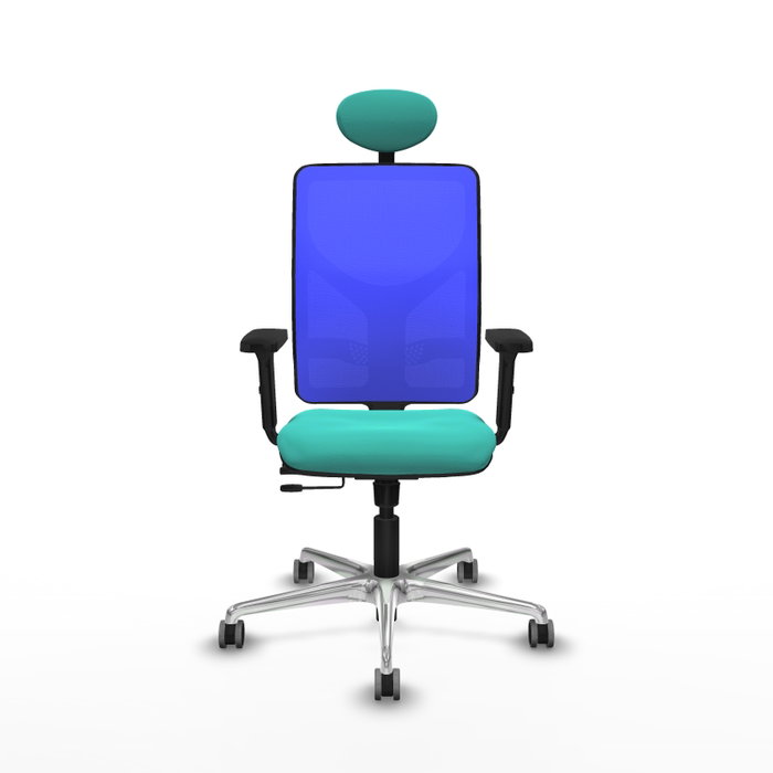 PIQUERAS Y CRESPO Silla de oficina Motilla con mecanismo Sincro/Traslack, Azul y Turquesa PIQUERAS Y CRESPO Silla de oficina Motilla con mecanismo Sincro/Traslack, Azul y Turquesa