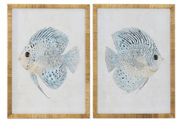 DKD Home Decor Set de 2 Cuadros de Cristal y Ratán con Diseño de Pez, 50x2,5x70 cm, Azul y Blanco