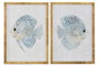 DKD Home Decor Set de 2 Cuadros de Cristal y Ratán con Diseño de Pez, 50x2,5x70 cm, Azul y Blanco