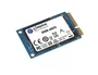Kingston SKC600MS/256G - Disco Duro SSD mSATA de 256 GB, Lectura 550 MB/s, Escritura 500 MB/s
