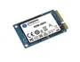 Kingston SKC600MS/256G - Disco Duro SSD mSATA de 256 GB, Lectura 550 MB/s, Escritura 500 MB/s