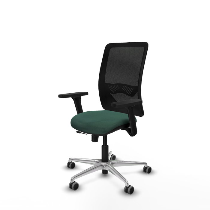 PIQUERAS Y CRESPO Silla de oficina Zulema con mecanismo Sincro/Traslack Verde botella y Negro PIQUERAS Y CRESPO Silla de oficina Zulema con mecanismo Sincro/Traslack Verde botella y Negro