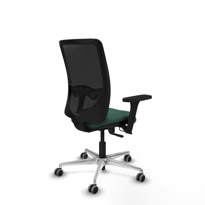 PIQUERAS Y CRESPO Silla de oficina Zulema con mecanismo Sincro/Traslack Verde botella y Negro PIQUERAS Y CRESPO Silla de oficina Zulema con mecanismo Sincro/Traslack Verde botella y Negro