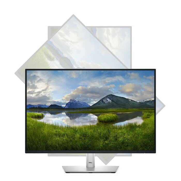 Dell P2425 Monitor WUXGA de 24 pulgadas IPS 100 Hz Negro Dell P2425 Monitor WUXGA de 24 pulgadas IPS 100 Hz Negro