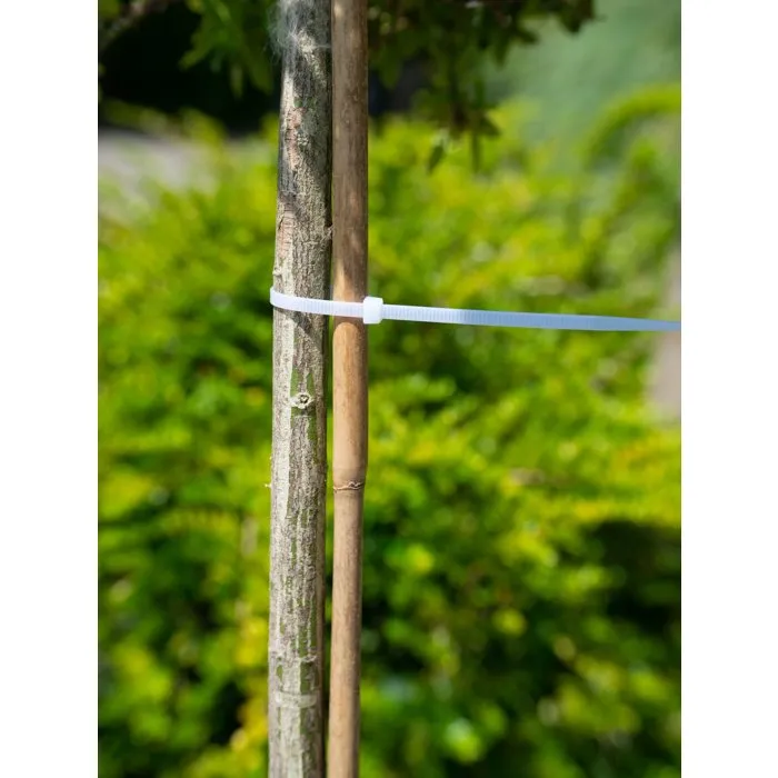 Nature Collarin de soporte para arboles - 15 cm - Paquete de 25 - Transparente