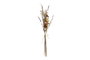 DKD Home Decor Ramo de Flores Secas 8x3x55 Marrón, Rosa y Amarillo