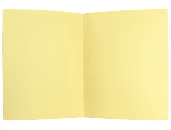 Liderpapel Subcarpeta Din A4 Amarillo Pastel