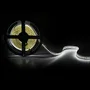 Tira de 204 LEDs/M 60W 4700Lm CRI85 2700ºK SMD3014 12VDC IP20 x5M 40.000H CA-3014-204-12W-IP20-WW