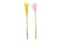 DKD Home Decor Ramas de Flor Seca Avena Surtido Amarillo y Rosa