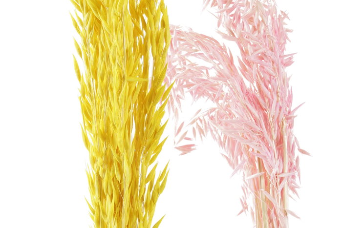 DKD Home Decor Ramas de Flor Seca Avena Surtido Amarillo y Rosa