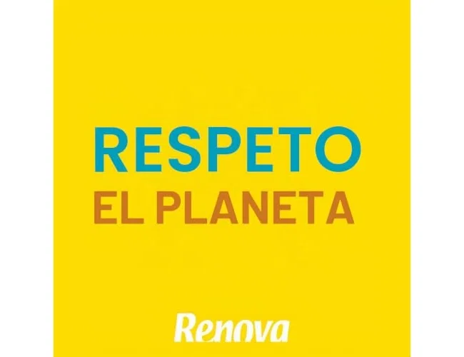 Renova Servilleta mini blanca de 1 capa, 17x17 cm, paquete de 200 unidades Renova Servilleta mini blanca de 1 capa, 17x17 cm, paquete de 200 unidades