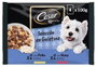 Cesar Multipack Selección Gelatina 13x4x100g Pouch