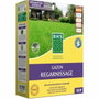 BHS Regenerador de césped 3 kg