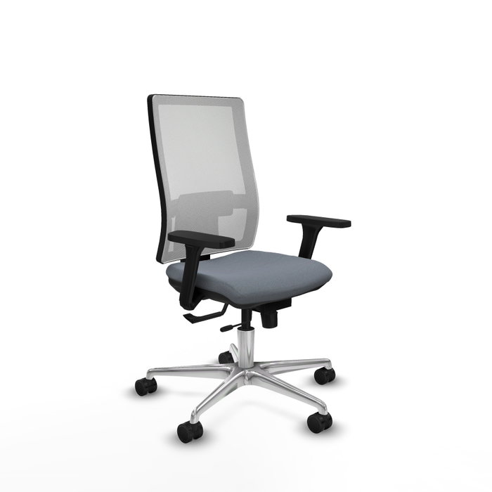 PIQUERAS Y CRESPO Silla de oficina Horna con mecanismo Sincro/Traslack Gris y Blanco PIQUERAS Y CRESPO Silla de oficina Horna con mecanismo Sincro/Traslack Gris y Blanco