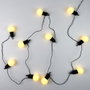 Home Deco Factory Guirnalda de Exterior e Interior LED 10 Bombillas 2,7m IP44, Cable 5m, Blanco Cálido, con Transformador