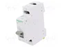 SCHNEIDER ELECTRIC Interruptor magnetotérmico MCB para raíl DIN