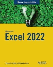 Excel 2022, Claudia Valdés-Miranda - ANAYA MULTIMEDIA