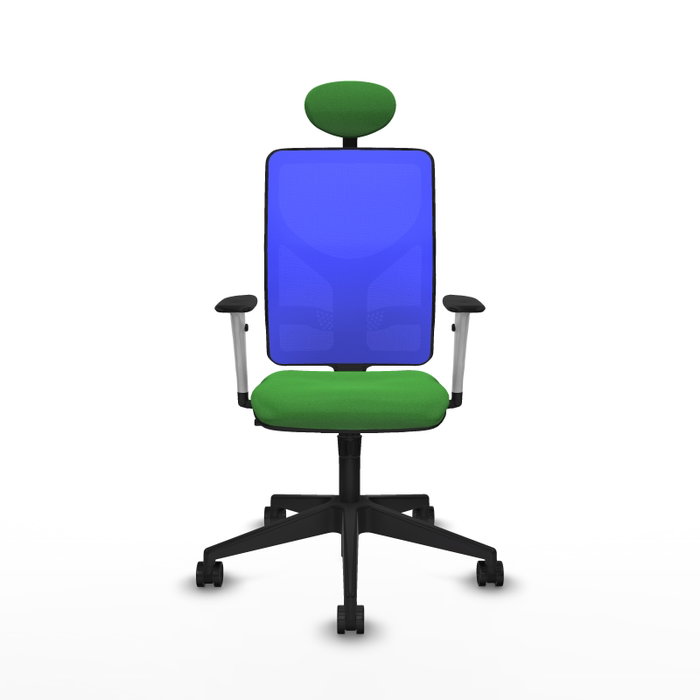PIQUERAS Y CRESPO Silla de oficina Motilla con mecanismo Sincro Verde y Azul