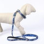 Cerdá Collar Premium Para Perros Stitch Talla M/L Dark Blue
