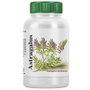 VBYOTICS Astragalus extracto de raíz 120 cápsulas