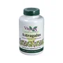 VBYOTICS Astragalus extracto de raíz 120 cápsulas