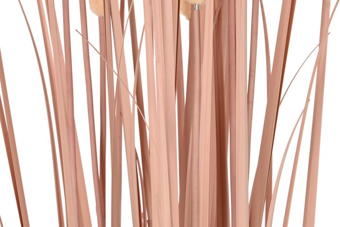 DKD Home Decor Planta de Junco Coral y Negro 45x45x145 cm