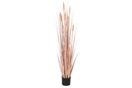DKD Home Decor Planta de Junco Coral y Negro 45x45x145 cm