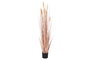 DKD Home Decor Planta de Junco Coral y Negro 45x45x145 cm