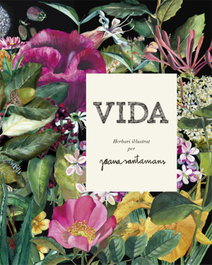 VIDA, Joana Santamans - LA GALERA