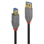 Lindy Cable USB 3.2 Gen 1 Tipo A a B, 1m, Negro