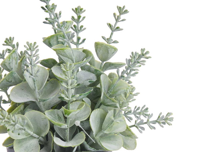 Ibergarden Maceta Planta Verde 15x22x15 cm Surtido Plástico Metal Tela Color Verde (Set de 24)