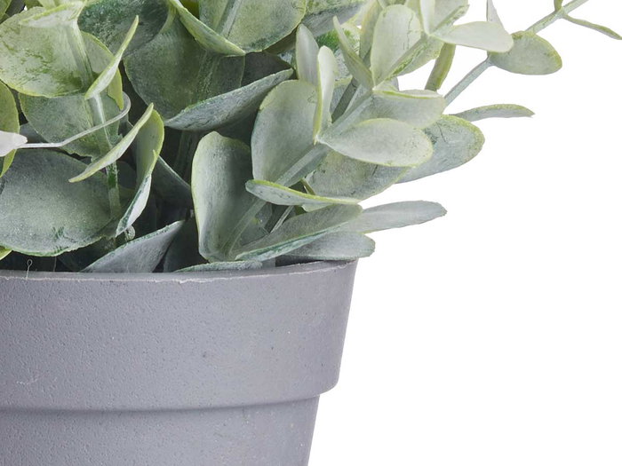 Ibergarden Maceta Planta Verde 15x22x15 cm Surtido Plástico Metal Tela Color Verde (Set de 24)