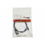 Equip Cable Adaptador USB-C a DisplayPort 1.2 de 1m 4K/60Hz Negro