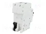 ABB S200 Interruptor magnetotérmico 10A 2 polos 6kA