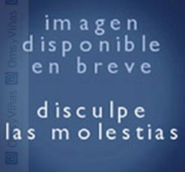 Lauria Mantel Gris Pieza 320x500 cm