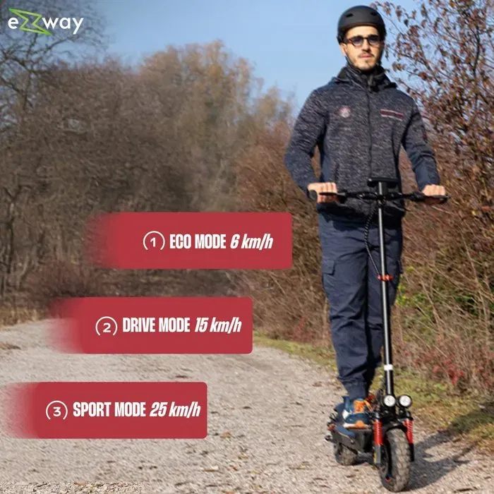 Ezway Patinete Eléctrico Todoterreno Plegable GO - 10" - 48V - 800W - Autonomía 50 km, Luz de Freno e Intermitentes Ezway Patinete Eléctrico Todoterreno Plegable GO - 10" - 48V - 800W - Autonomía 50 km, Luz de Freno e Intermitentes