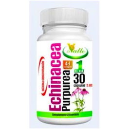 EL VALLE Echinacea 30 Capsulas - Ayuda a las Defensas